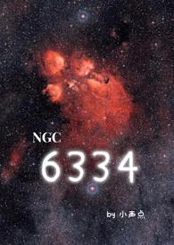 失忆贵妃承宠记（1v1，h）